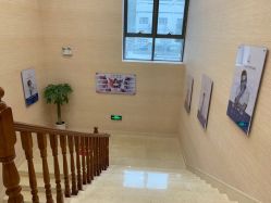 -碧莲盛·不剃发植发