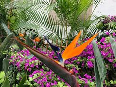 景点-惠山古镇·寄畅园