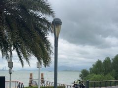 -深圳湾公园(南山区)