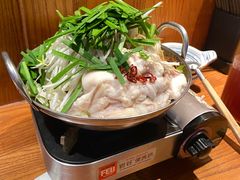 博多牛肠火锅-九州酒场ひこぞう(1号店)