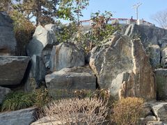 -清凉山国家森林公园