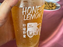 -旗鱼海番村(Orang Asli)