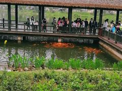 -枫香湖儿童公园