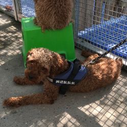 -萌宠亲子动物乐园(槐房万达店)