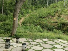 -青龙山国家森林公园