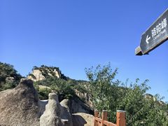 -大岭沟猕猴桃谷风景区