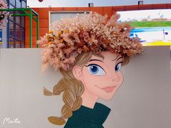 -荷兰花海