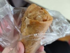春卷-胡荣泉
