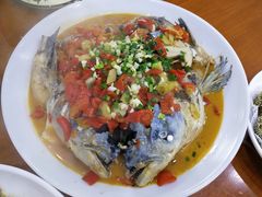 -全乐鱼馆·淳牌有机鱼直营店