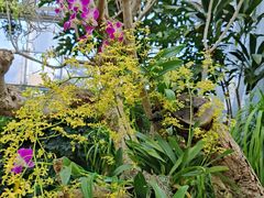 -北京植物园-展览温室