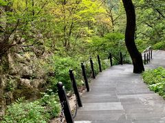-王顺山国家森林公园