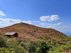 -大围山国家森林公园