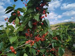 -珠源印象·影院足道·按摩SPA