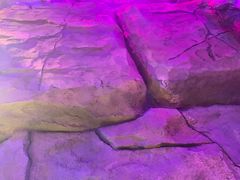 -串越时光·烧烤·烤鱼·小龙虾(松江大学城店)