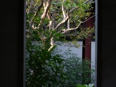 -秋霞圃