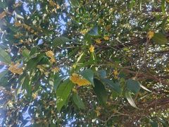 -河南省黄河迎宾馆
