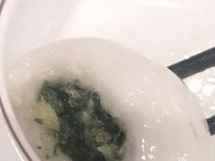 -丁老爷子苏香圆