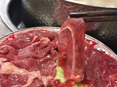 -乳仔牛牦牛汤锅 烤羊排(松潘古城店)