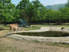 -西安秦岭野生动物园