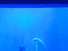 -多彩贵州城极地海洋世界