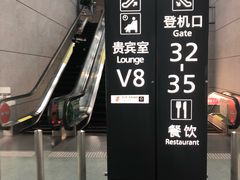 -虹桥机场国航贵宾室v8