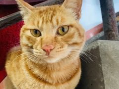 -老丘丘(较场口店)