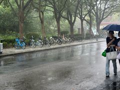 -龙师傅卤炒(天马店)