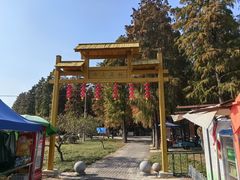 -渌洋湖湿地公园