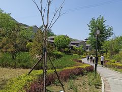 -黄金寨原生态旅游区
