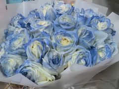 -都氏家DUSJOY(翡翠城店)