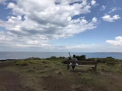 -企鹅岛