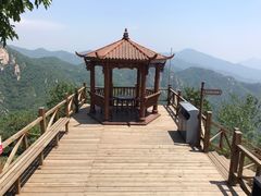 -大岭沟猕猴桃谷风景区