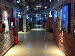 -华美国际影城(旧宫永辉店)