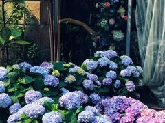-花十悦·鲜花咖啡餐厅(振业城一期店)