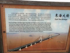 -洋山深水港
