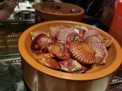 -龍歌自助小火锅(市南金茂湾店)