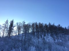 -北极村旅游风景区