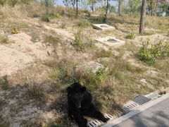 -太原动物园