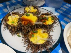 海胆-日月明小渔村•海肠捞饭•大连海鲜(星海广场店)