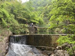 -大奇山国家森林公园