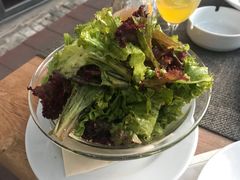 混合沙拉-Casa Nova