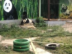 -南昌动物园
