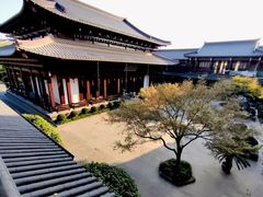 -香积寺