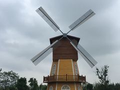 -瑶湖郊野森林公园