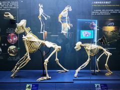 -国家自然博物馆