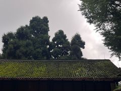 -青城山