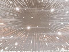-CHIC1699远洋私厨