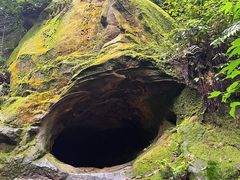-缙云山景区