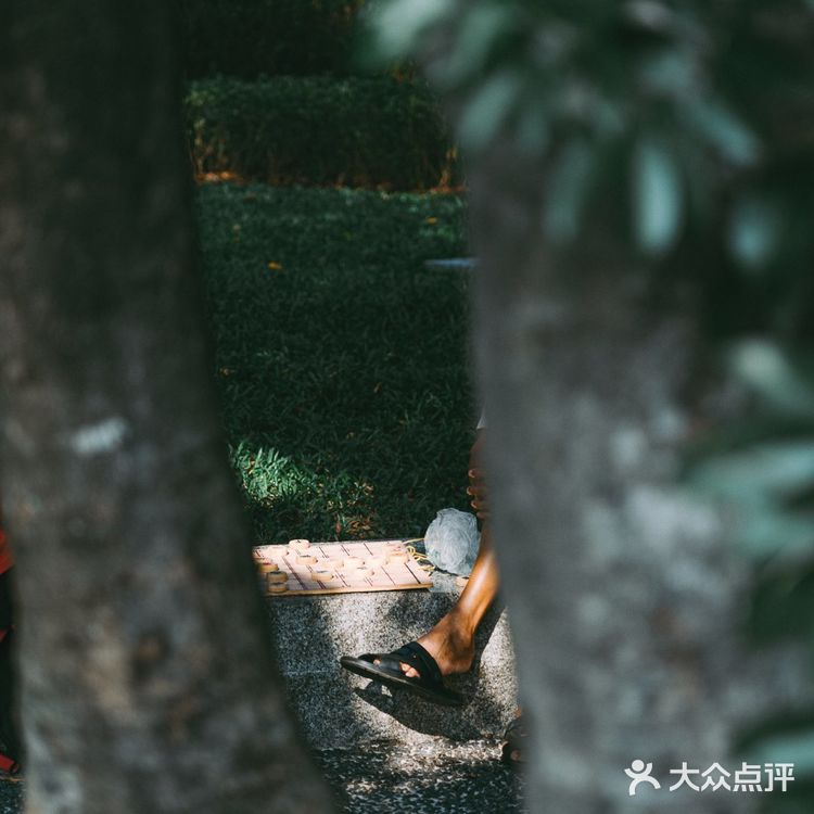 扫街日记📸•深圳蛇口人的青春| 四海公园💚