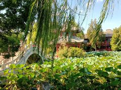 -莲池书院博物馆